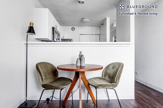 445 E Ohio St in Chicago, IL - Building Photo - Building Photo