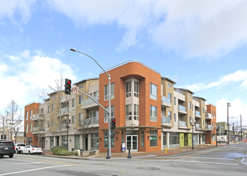 Allium in Gilroy, CA - Foto de edificio