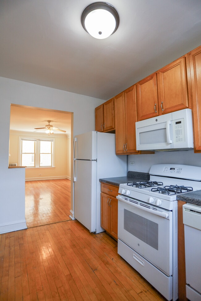 2234 W Farwell Ave, Unit #1 in Chicago, IL - Building Photo - Building Photo