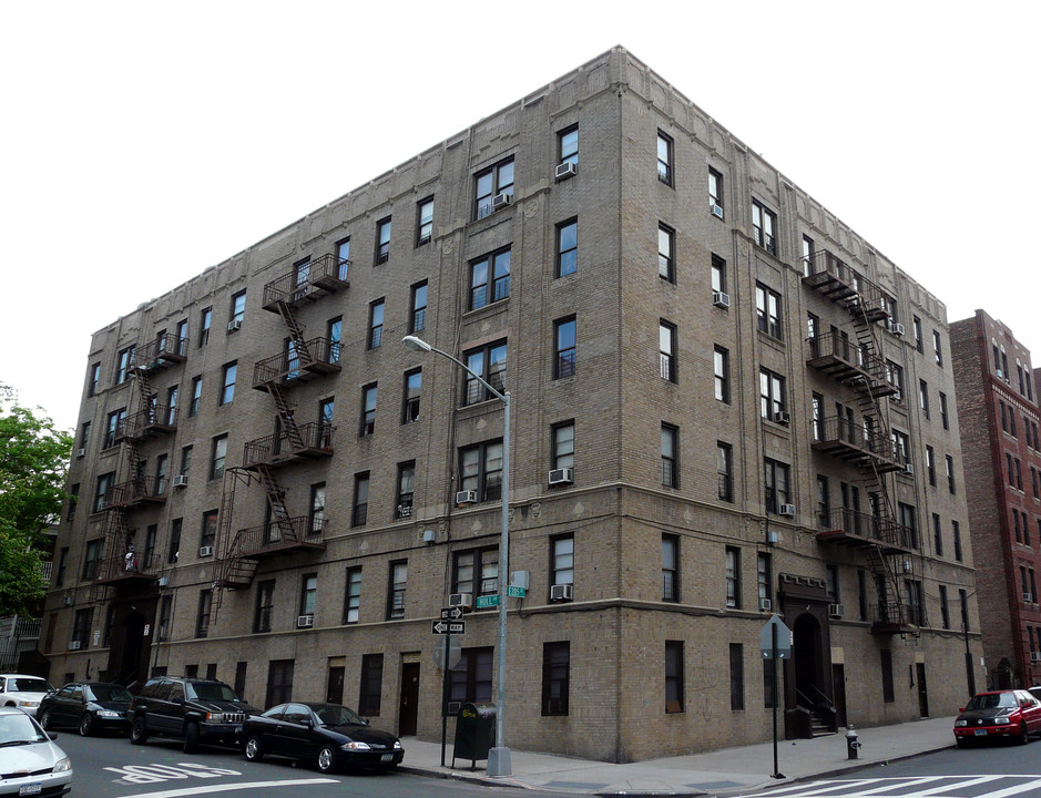 335 E 205th St in Bronx, NY - Building Photo