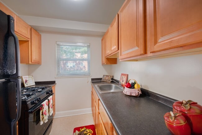 Springfield Gardens