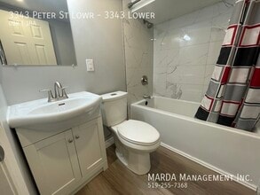 3343 Peter St in Windsor, ON - Building Photo - Building Photo