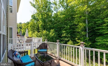 739 English Ivy Way in Aberdeen, MD - Building Photo - Building Photo