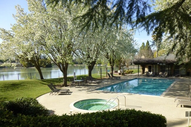 Lakeshore Apartments - Lake Views!