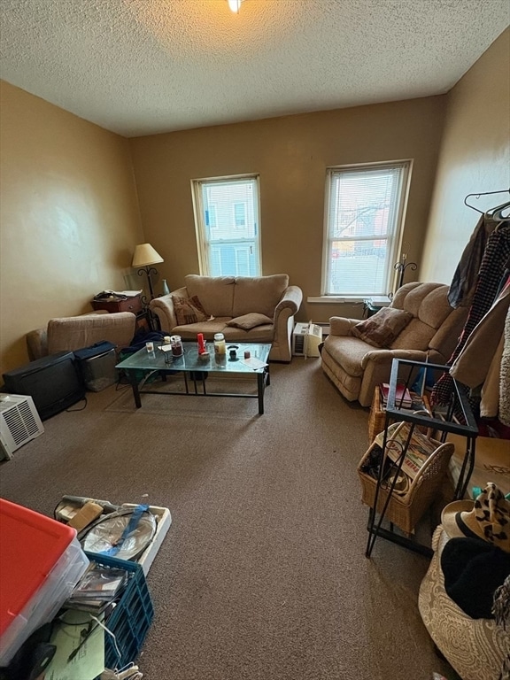 property at 12 Mt Pleasant Ave