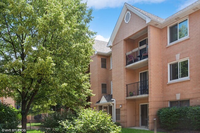 8700 W Evelyn Ln in Chicago, IL - Building Photo - Building Photo