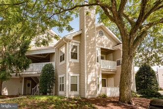 6011 Rosebud Ln in Centreville, VA - Building Photo - Building Photo