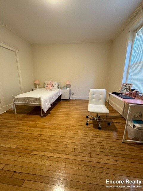 12 Alton Pl in Brookline, MA - Foto de edificio - Building Photo