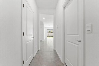 31336 Paper Birch St in Wesley Chapel, FL - Building Photo - Building Photo