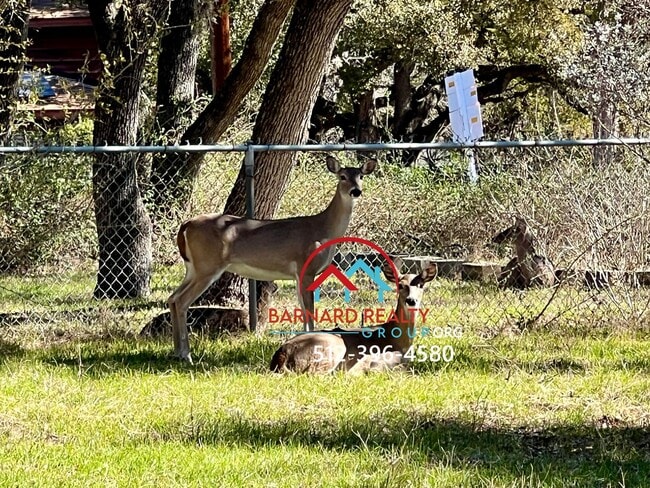 105 W Hillcrest Dr in San Marcos, TX - Building Photo - Building Photo