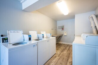 Cedarwood Apartments in Santa Rosa, CA - Building Photo - Interior Photo