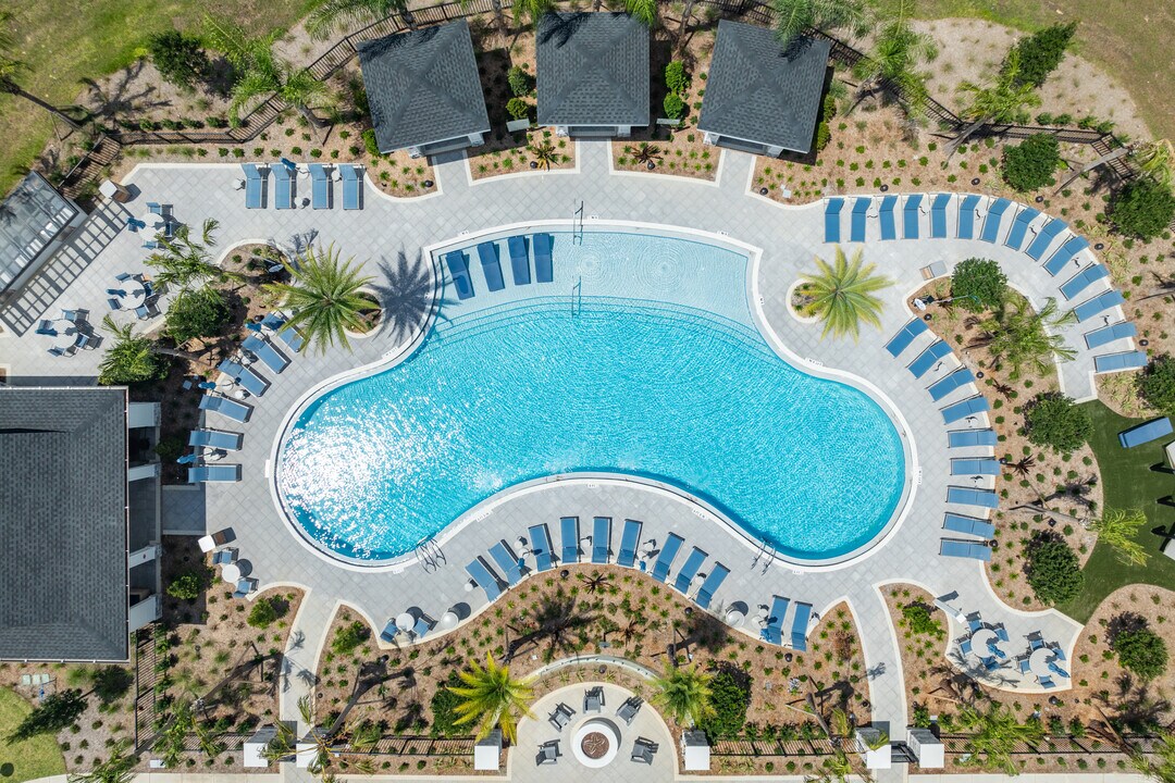 Alta Citron in Davenport, FL - Foto de edificio