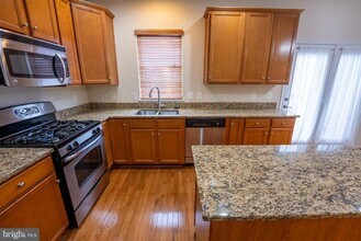 25474 Feltre Terrace in Chantilly, VA - Building Photo - Building Photo