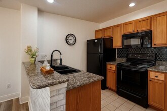 2221 San Vittorino Cir in Kissimmee, FL - Building Photo - Building Photo
