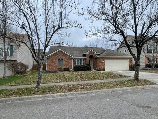 821 Palomino Ln in Lexington, KY - Building Photo - Building Photo