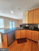 917 Crestfield Dr in Rockville, MD - Building Photo