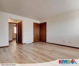 924 Boston Way in Coralville, IA - Building Photo - Building Photo