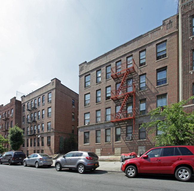 305 Martense St in Brooklyn, NY - Building Photo - Building Photo