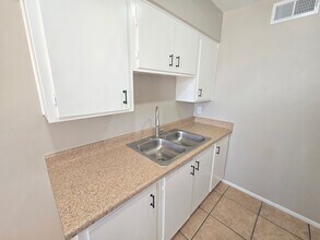 2019 N 49th St in Phoenix, AZ - Building Photo - Building Photo
