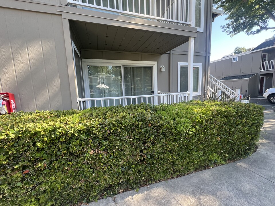 1572 Sunnyvale Ave in Walnut Creek, CA - Building Photo