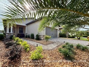 41 Forest Spring Dr in Nocatee, FL - Building Photo - Building Photo