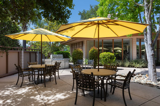 Tan Plaza Apartments in Palo Alto, CA - Foto de edificio - Building Photo