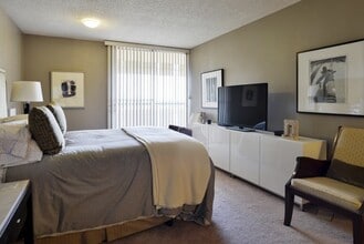 Park Tower Apartments in Lubbock, TX - Building Photo - Building Photo