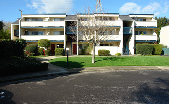 Alamo Park Apartments