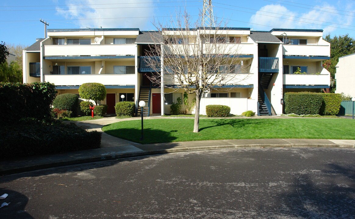 Alamo Park in Mountain View, CA - Foto de edificio