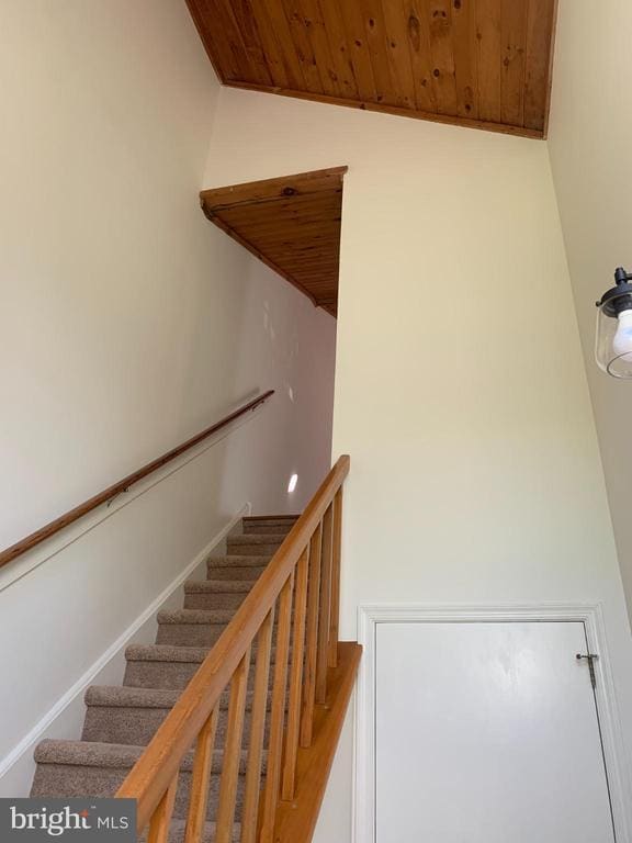 214 Christopher Pl in Chalfont, PA - Building Photo - Building Photo