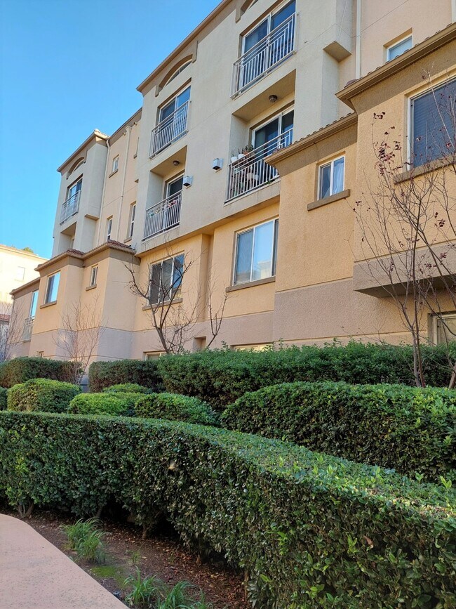 5240 Premiere Hills Cir Rentals in Woodland Hills, CA