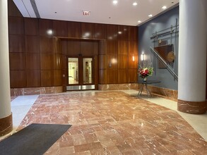 211 E Ohio St in Chicago, IL - Building Photo - Building Photo