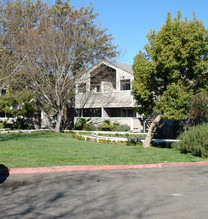 Continental Apartments in Santa Rosa, CA - Building Photo - Building Photo