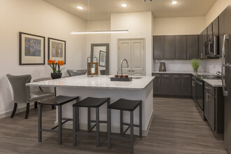 The Luxe at Cedar Hill 55+ Active Adult in Cedar Hill, TX - Building Photo - Building Photo