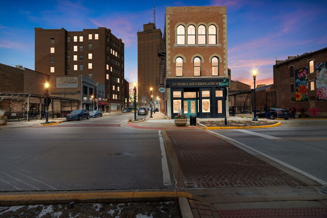 6 E Downer Pl in Aurora, IL - Building Photo