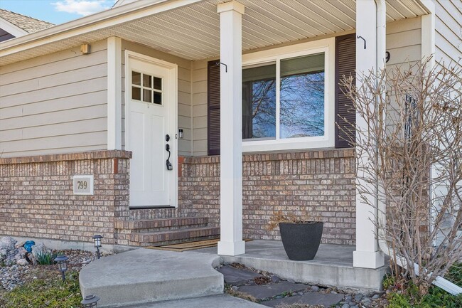 799 Breccia Ave in Loveland, CO - Building Photo - Building Photo