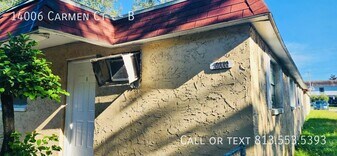 14006 Carmen Ct in Tampa, FL - Building Photo