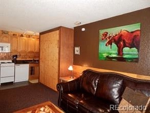 62927 US 40 in Granby, CO - Building Photo - Building Photo