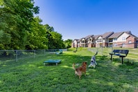 Signature Place Apartments photo'