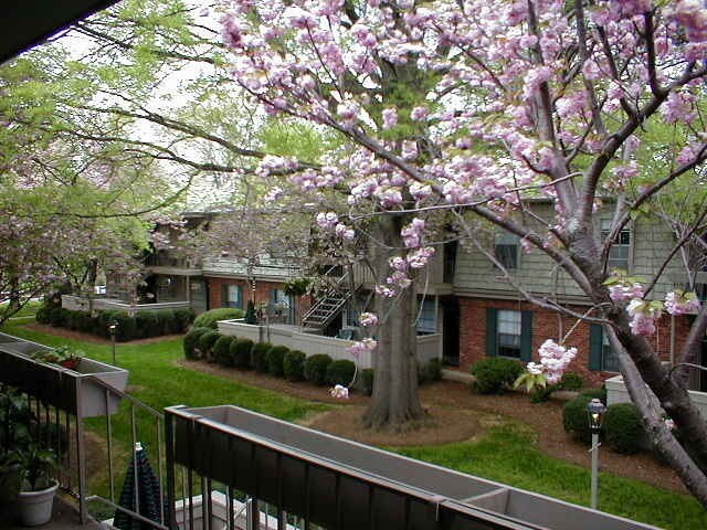 property at 3824 Country Club Rd