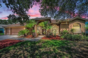 1516 E Lake Woodlands Pkwy in Oldsmar, FL - Building Photo