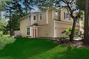 102 Blue Creek Pl in Spring, TX - Building Photo