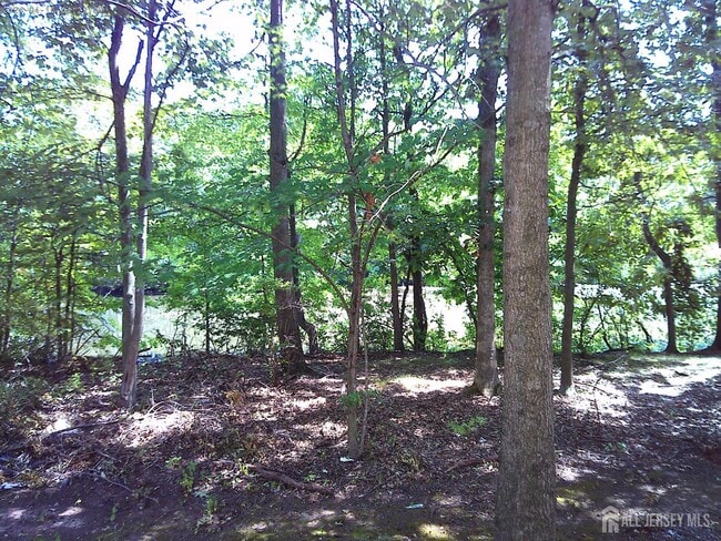 228 Pinelli Dr in Piscataway, NJ - Building Photo - Building Photo