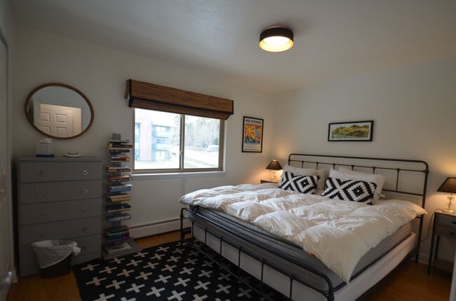 1143 Straight Creek Dr in Dillon, CO - Building Photo - Building Photo