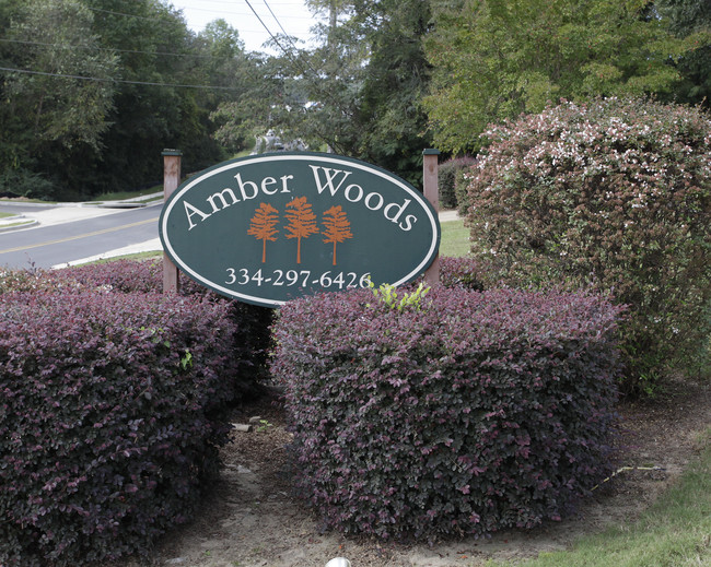 Amber Woods Apartments in Phenix City, AL - Foto de edificio - Other