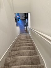 2146 Senita Dr in San Diego, CA - Building Photo - Building Photo