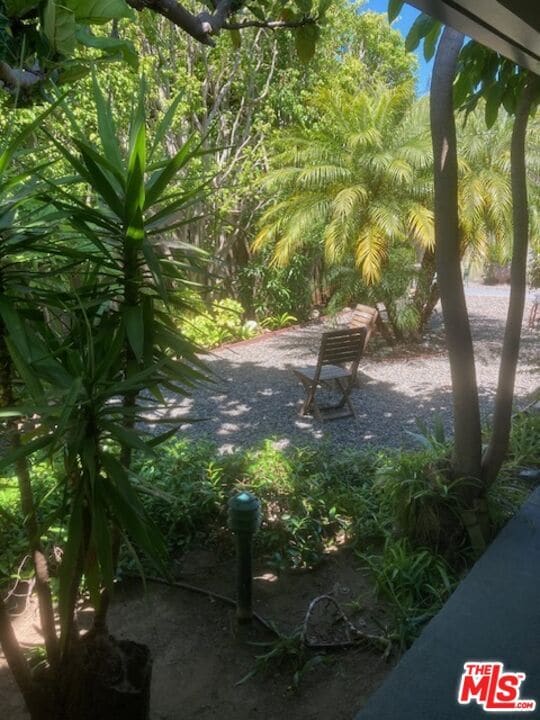 1011 Pearl St in Santa Monica, CA - Building Photo - Building Photo