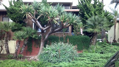 316 Calle Miramar in Redondo Beach, CA - Building Photo - Building Photo