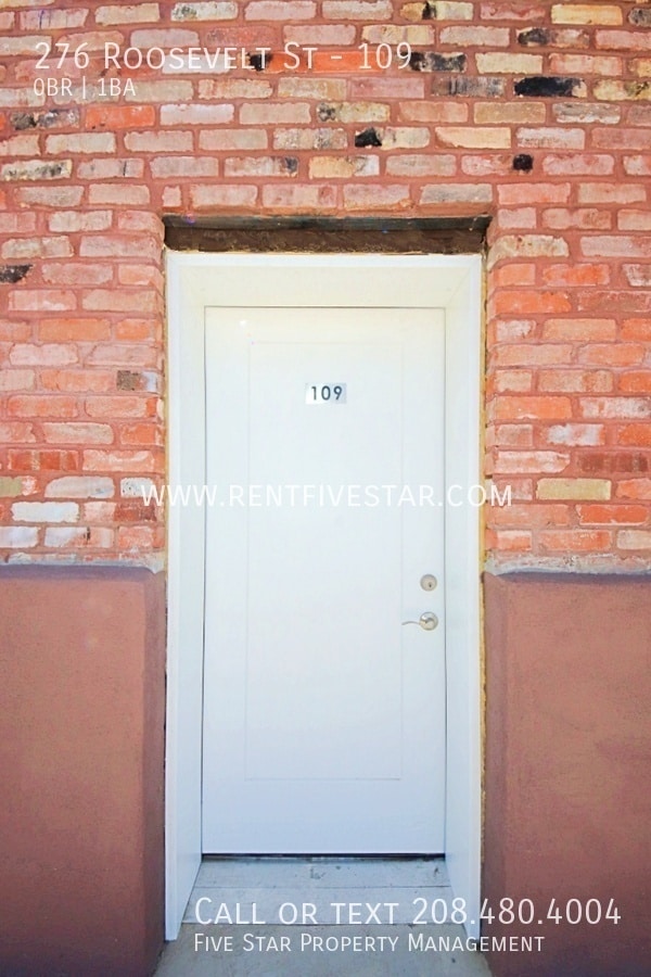 276 Roosevelt St in American Falls, ID - Building Photo - Building Photo