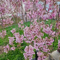 8 Broad St in Ephrata, PA - Building Photo